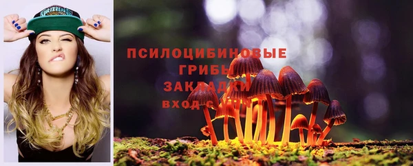 ECSTASY Медногорск