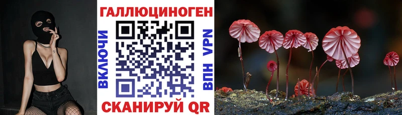 kraken онион  Усолье  Галлюциногенные грибы Psilocybine cubensis 